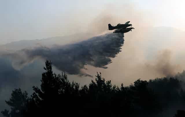 Montenegro asks for global help to fight fires