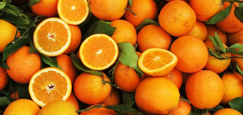 image Disease threatens years of orange output in top grower Brazil