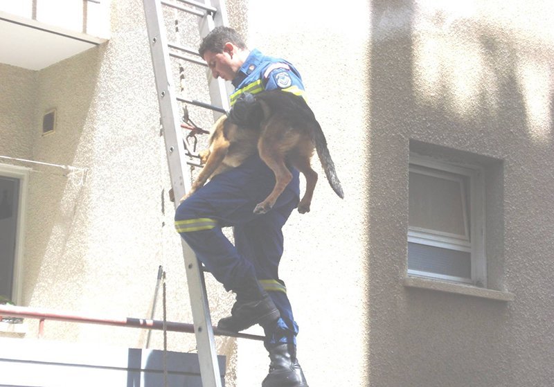 cover Our View: Sponsor animal rescuers and scrap the gravy train