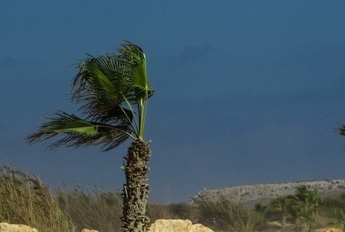 cover Today’s weather: Overcast with brisk winds