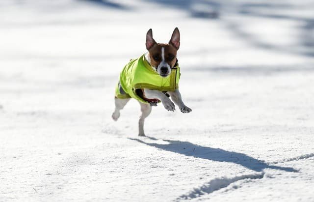 Snow Covered Britain Ireland Gripped By Beast From The East Cyprus Mail