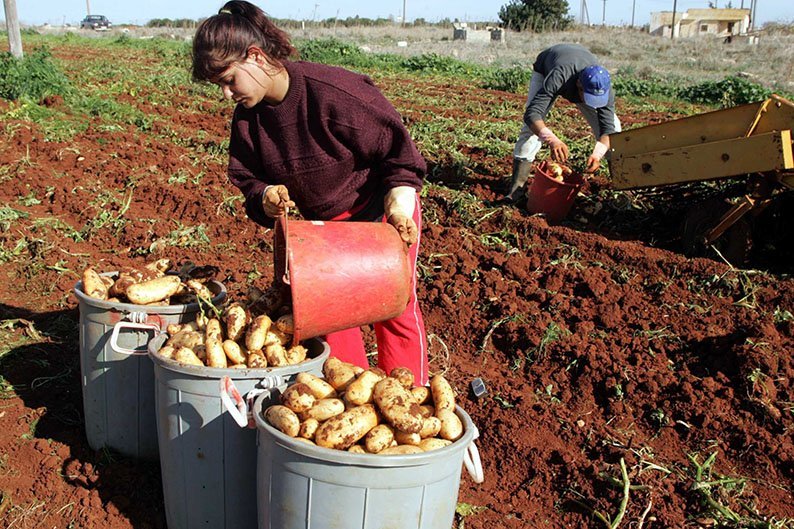 cover Larnaca and Famagusta farmers decry water allocation to Paphos