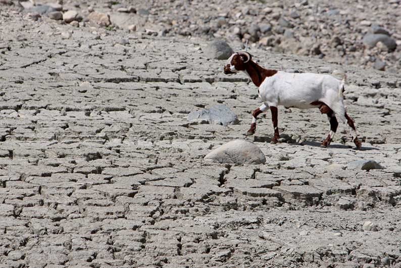 Plans afoot to deal with potential water shortages