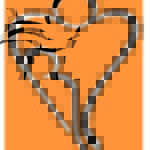 lidra logo new