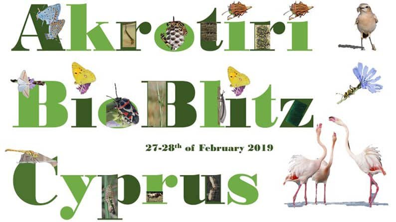 First-ever Akrotiri ‘BioBlitz’ taking place this month