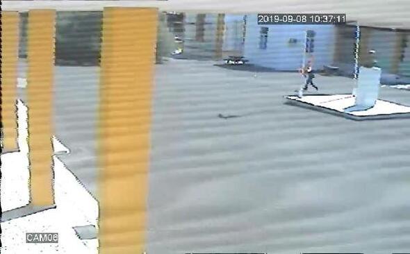 Father apologises for son’s ‘thoughtless acts’ in stealing Turkish flag