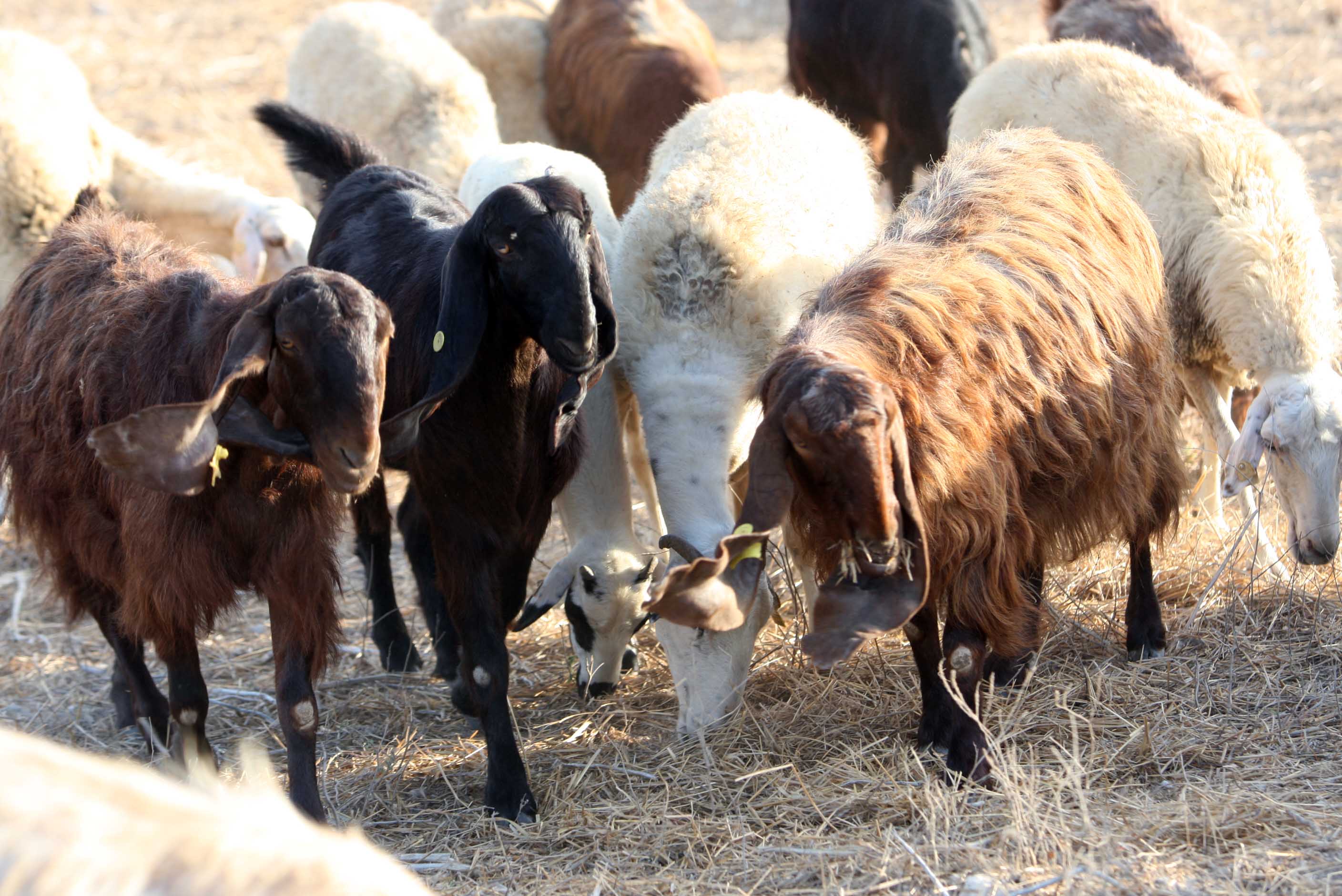 image €2m support package for farmers being prepared