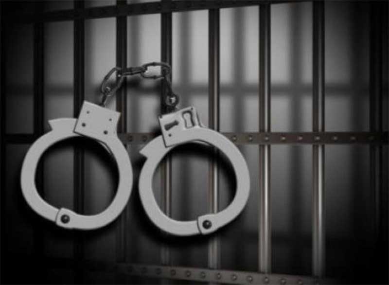 image Police seize 16.6 kilos of cannabis at Larnaca Airport, two arrests