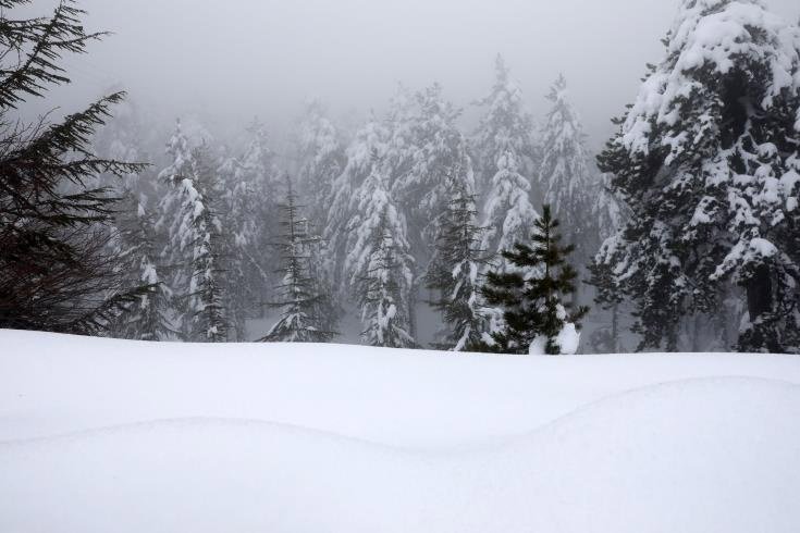 cover Today’s weather: More snow in Troodos