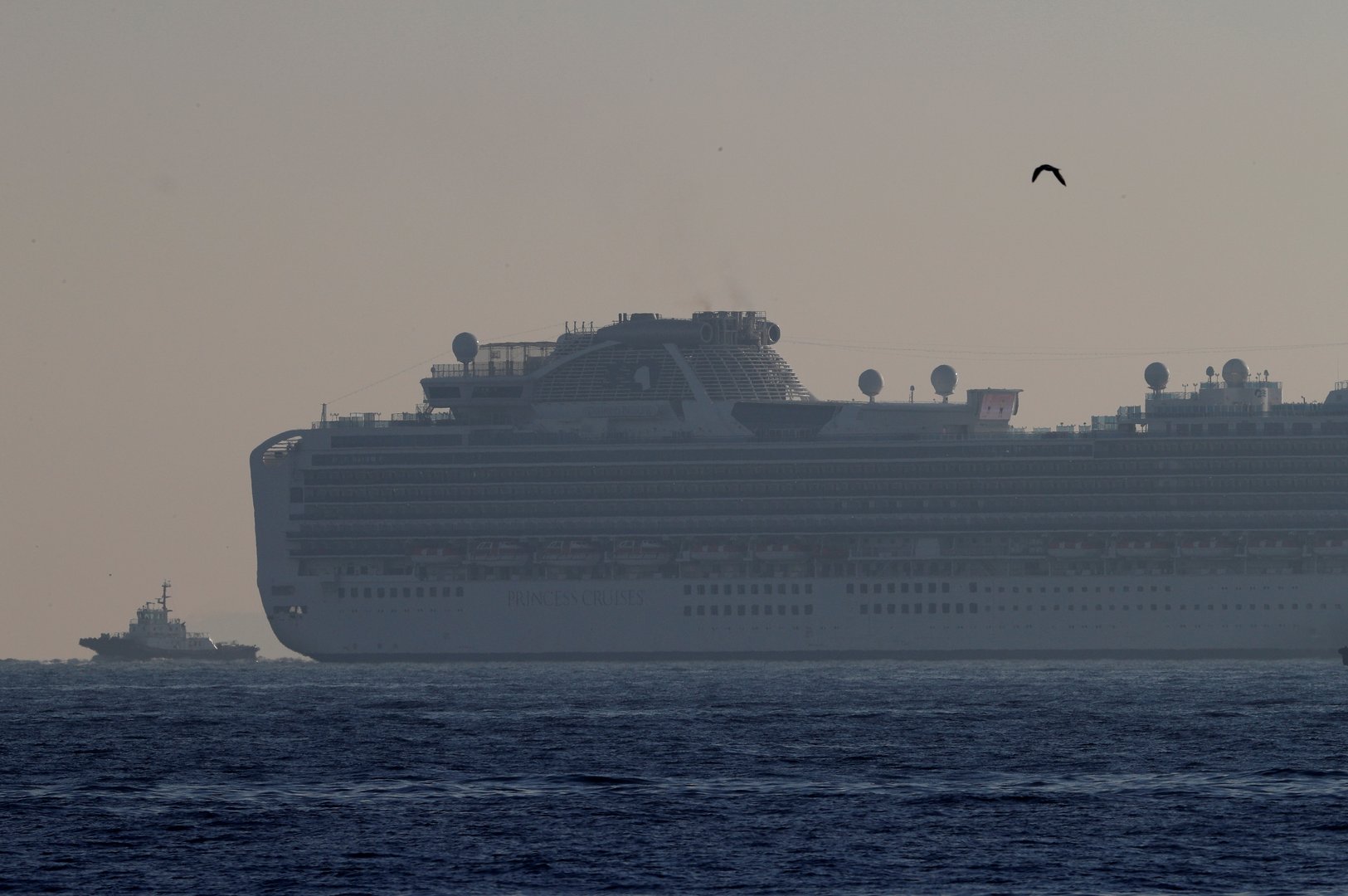 image US CDC says avoid cruise travel as Covid cases surge