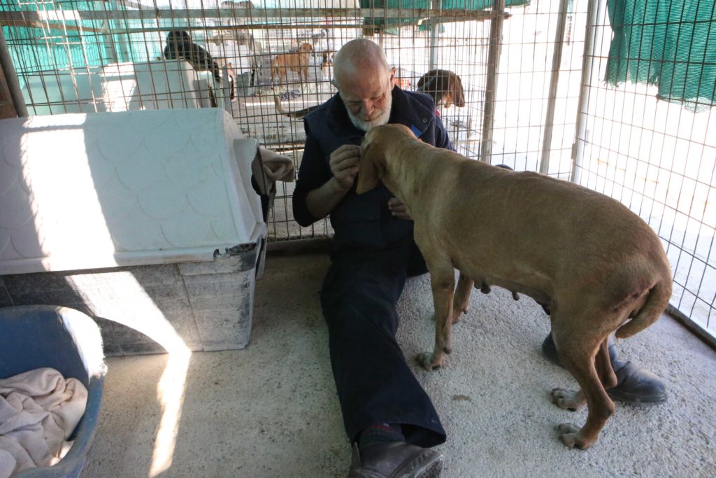 Man who spent five days in dog shelter ‘sad to leave