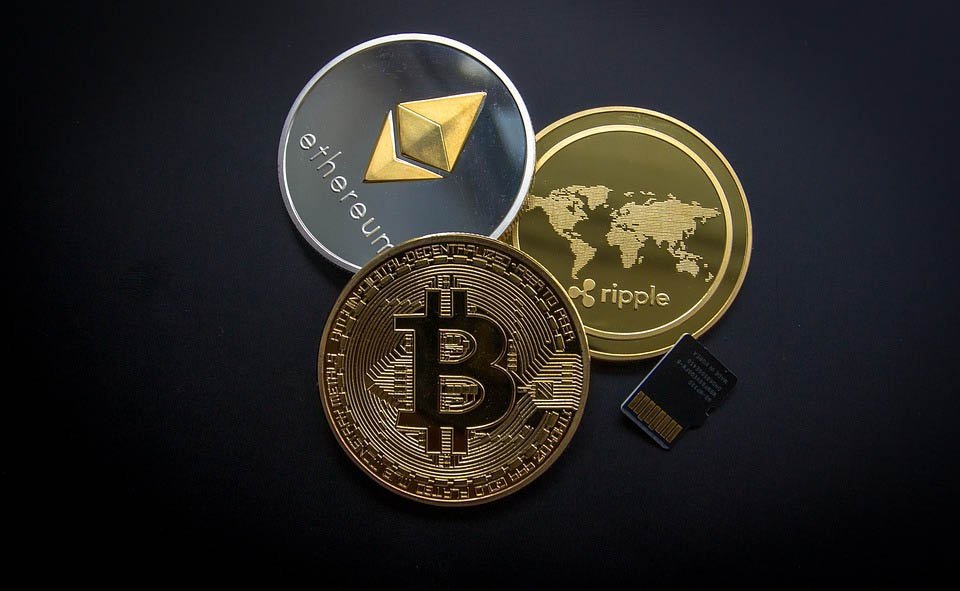 STEEM POSTS