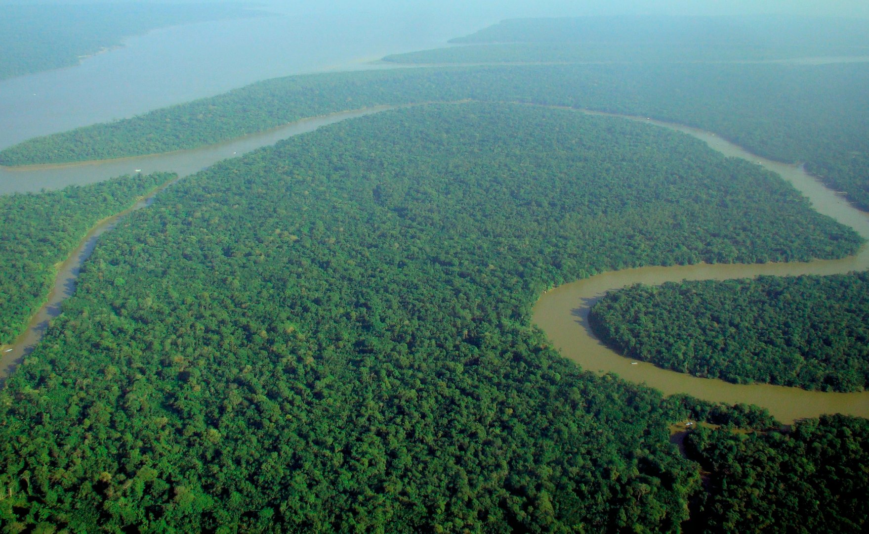 image Rainforest countries form pact to demand conservation cash from rich nations