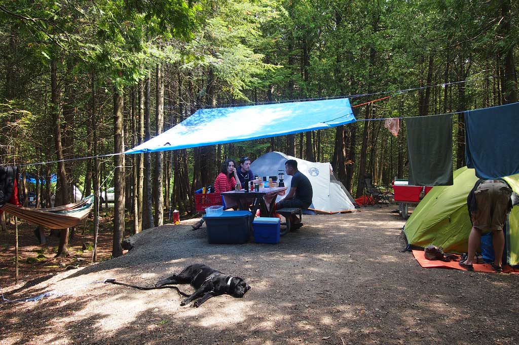 image Camping sites packed
