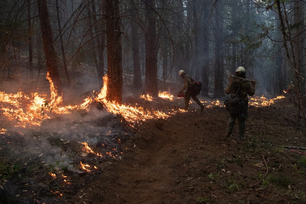 Firefighters From Las Vegas Set Ablaze Brush And Trees During A Firing Operation Near The Obenchain Fire In Butte Falls, Oregon