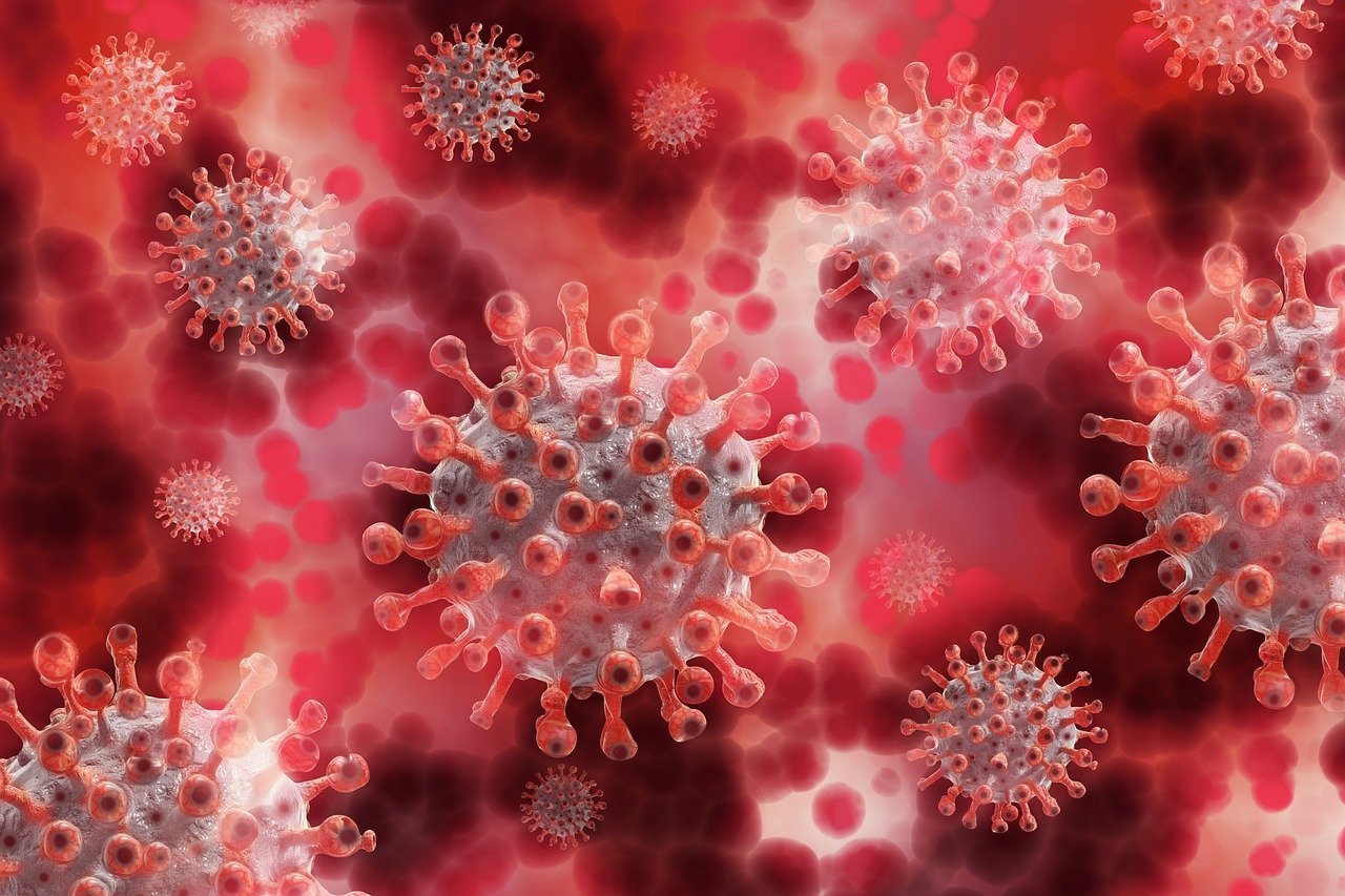 image Coronavirus: Two deaths and 529 new cases on Sunday (updated)