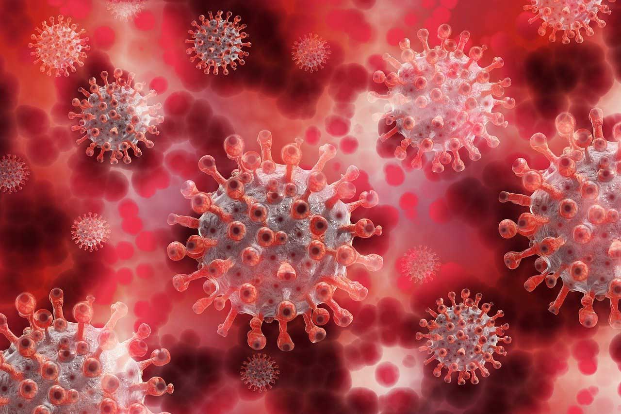 image Coronavirus: Daily case number falls into double figures (updated)