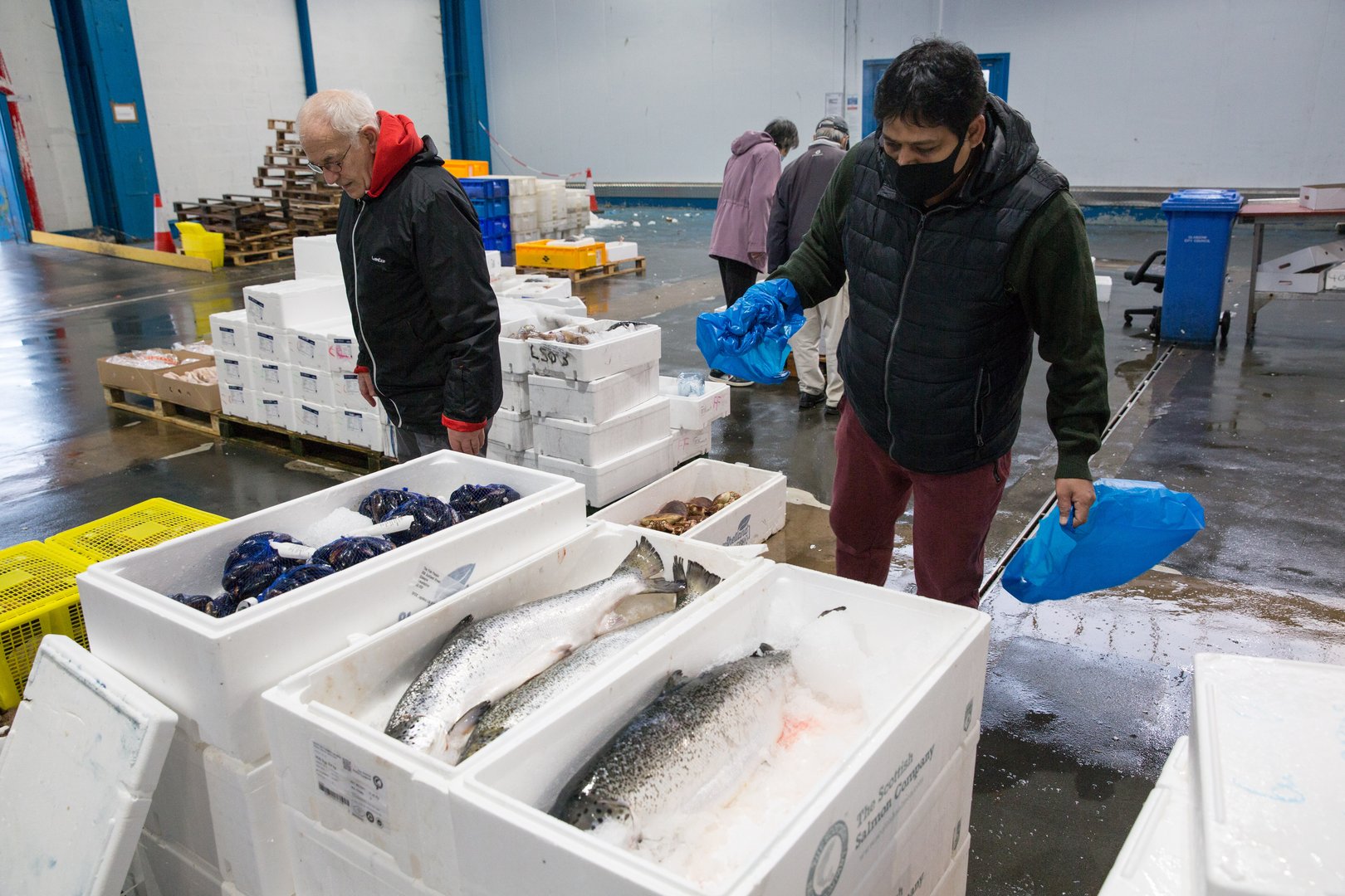 image Scottish fishermen land fish in Denmark to avoid post-Brexit red tape