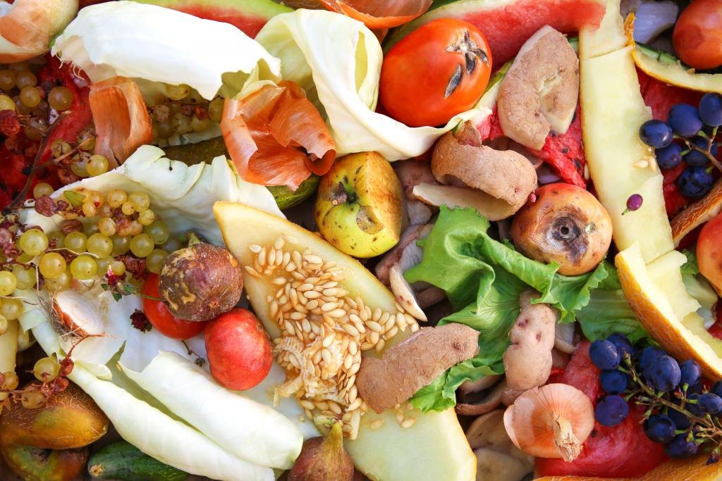 image Cyprus households waste 48,000 tonnes of food a year