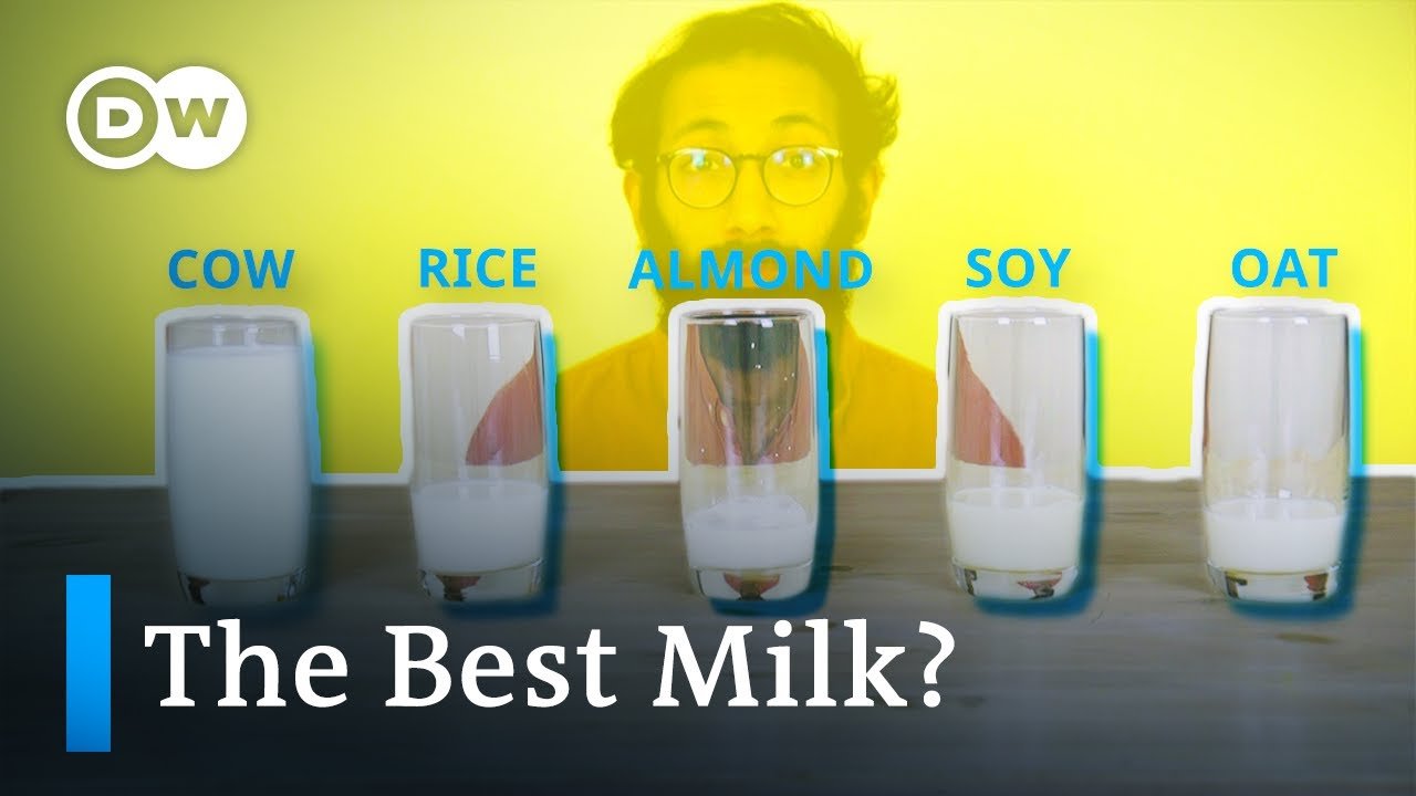 image Plant milk: the green, the bad and the ugly