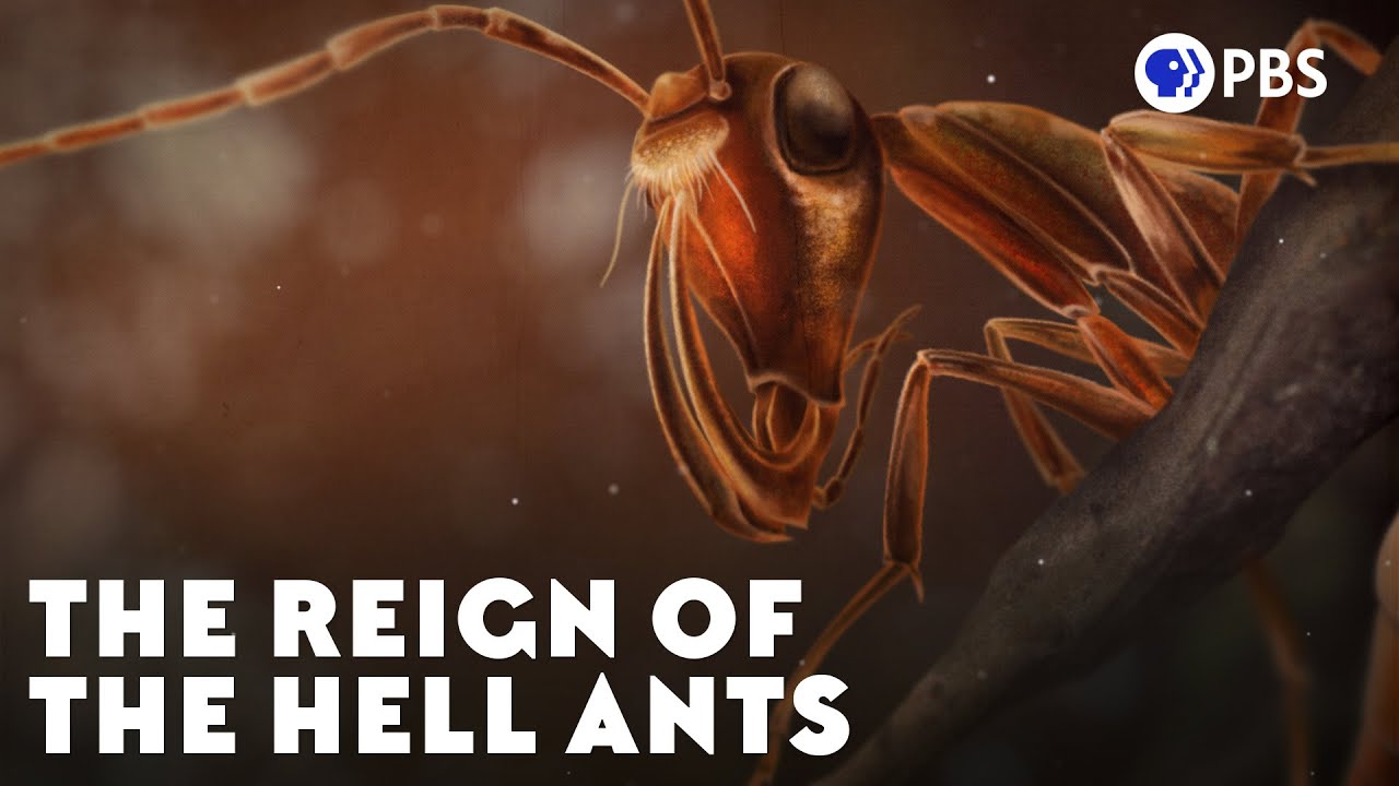 image Bad team players? The disappearance of ancient Hell Ants