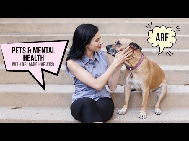 image How pets can benefit your mental health