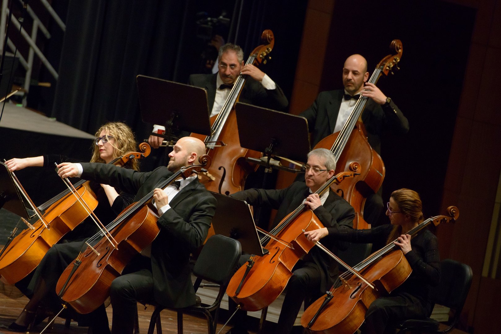 image Meet the Orchestra: educational online concert for children