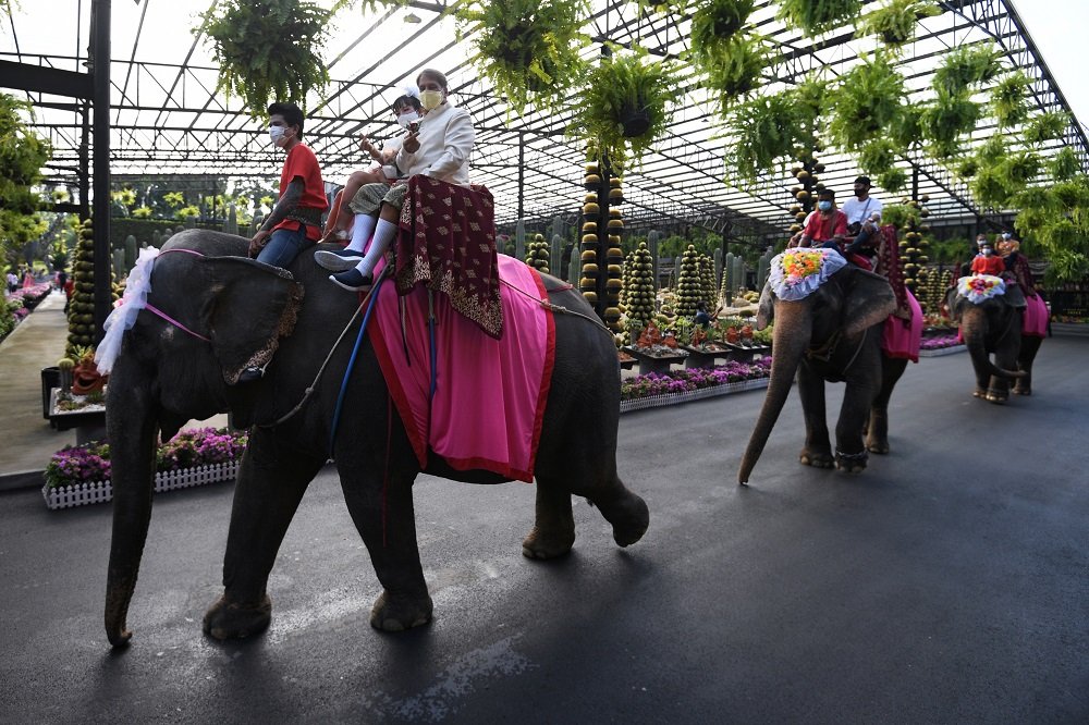 Τα ζευγάρια στην Ταϊλάνδη δένουν τον κόμπο στους ελέφαντες την ημέρα του Αγίου Βαλεντίνου