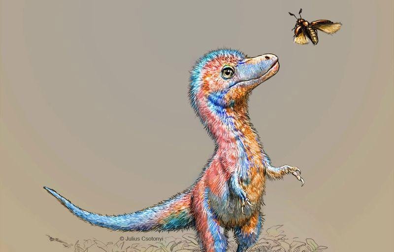 cover Babies from famed carnivorous dinosaur group were &#8216;born ready&#8217; to hunt