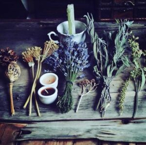 Feature Tea2