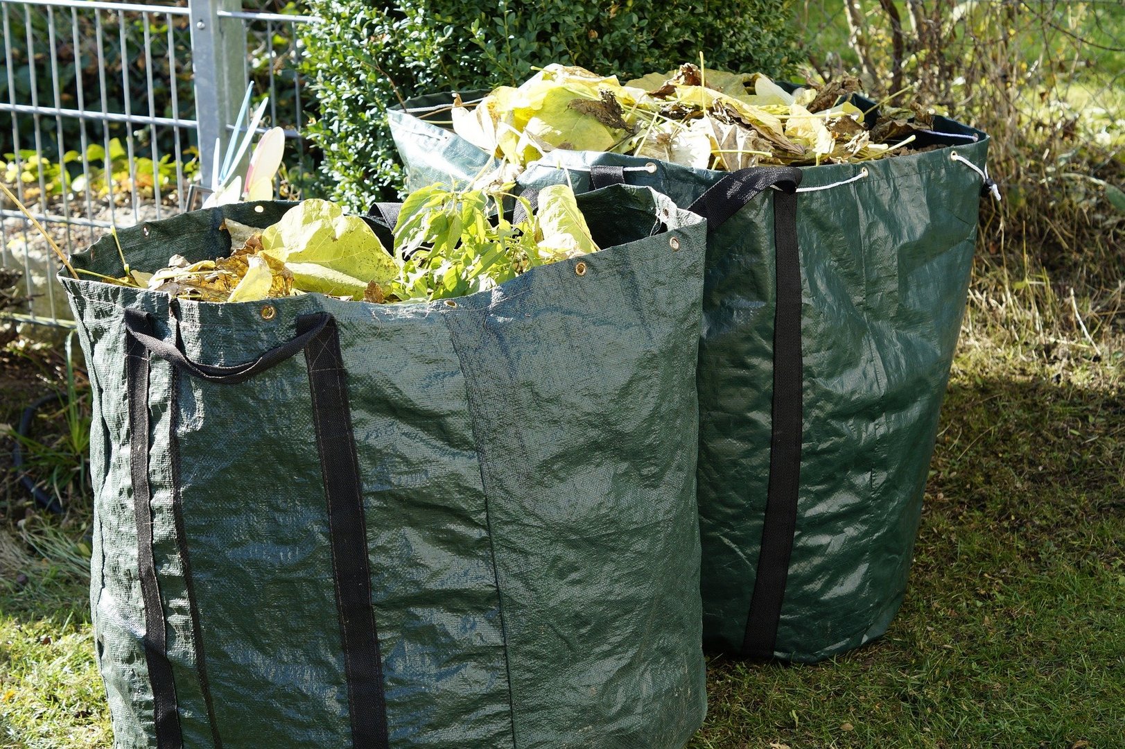 image Dherynia sets up temporary facility to collect garden waste