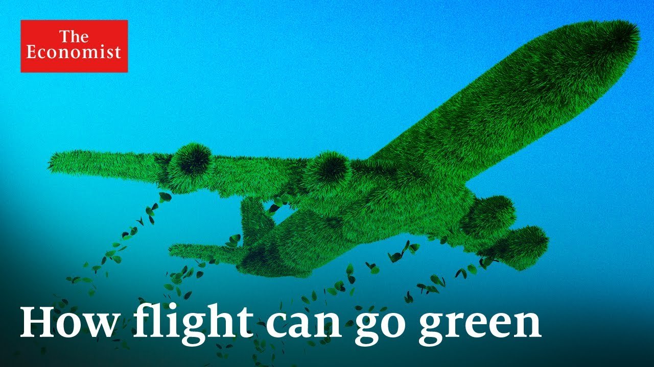 image Can the aviation industry go sustainably green?