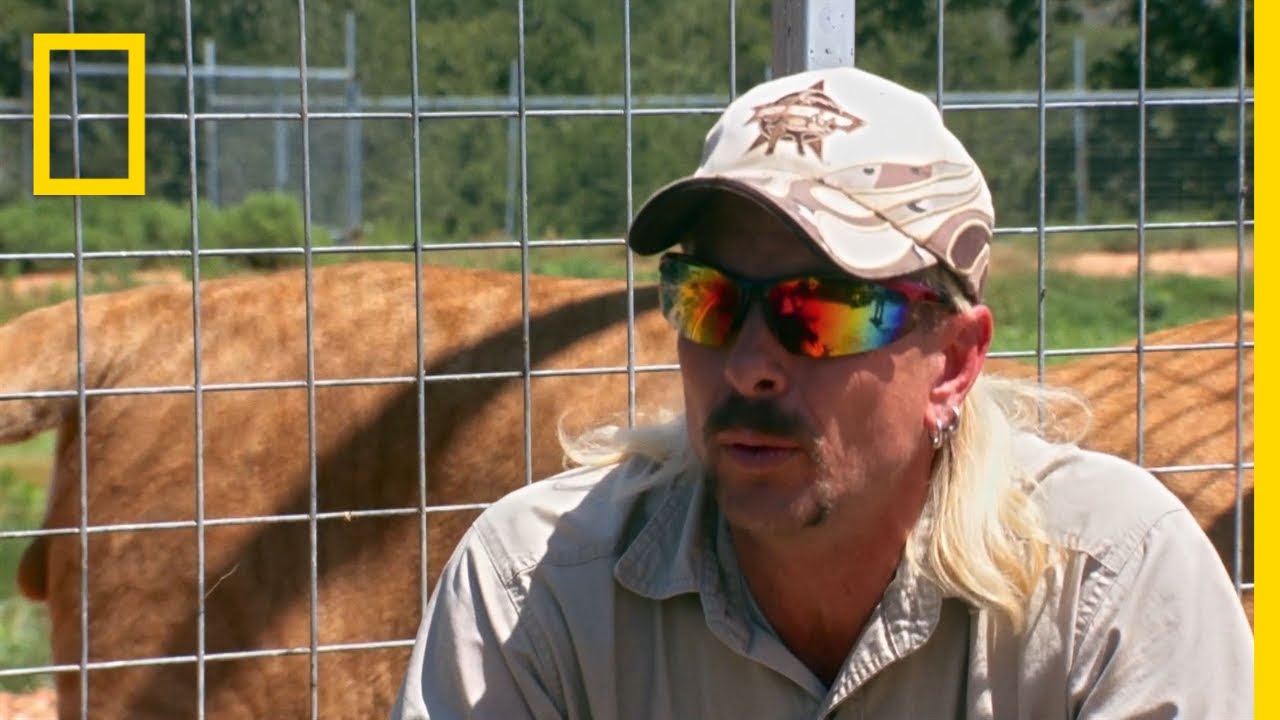 image Trafficked: Joe Exotic spills on the illegal tiger trade