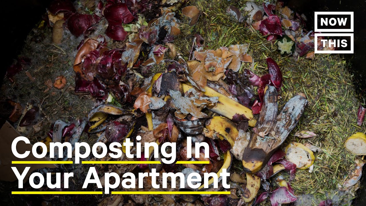 image How to compost kitchen scraps in your apartment
