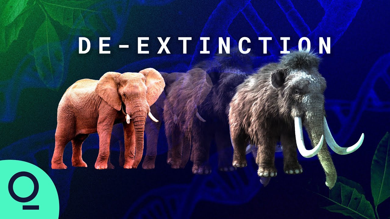 image What happens if we can solve extinction?