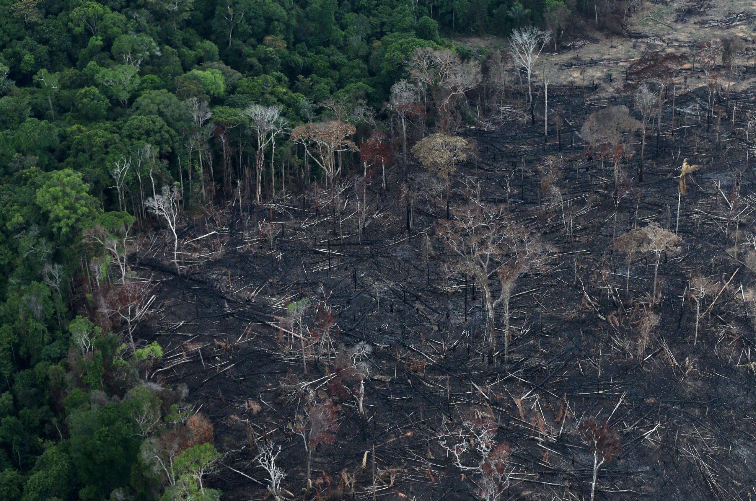 Οι αυτόχθονες Αμαζονίοι μηνύουν το Καζίνο λιανοπωλητή για καταστροφή τροπικών δασών