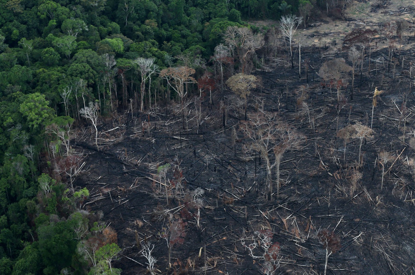 image Indigenous Amazonians sue retailer Casino over rainforest destruction