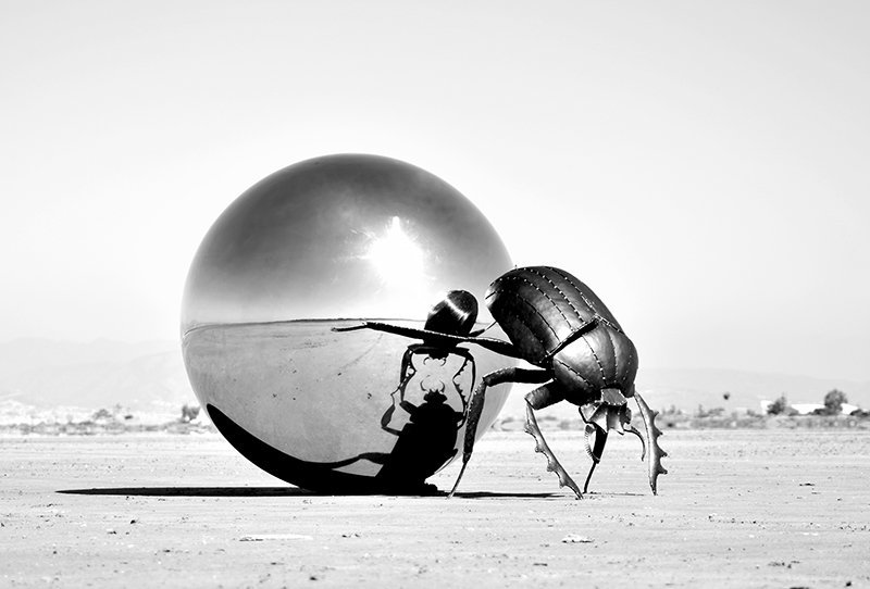 feature dust2 alexwelch scarab
