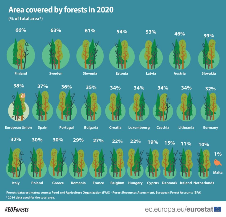 forest in the eu
