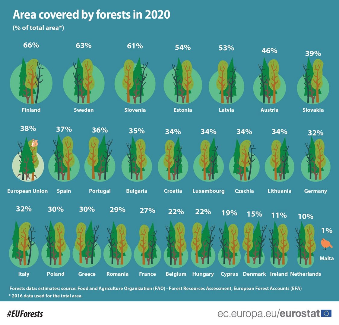image Less than 20 per cent of land covered by forest