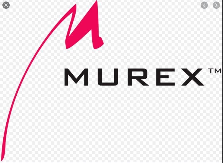 image French financial software champion Murex to open offices in Cyprus