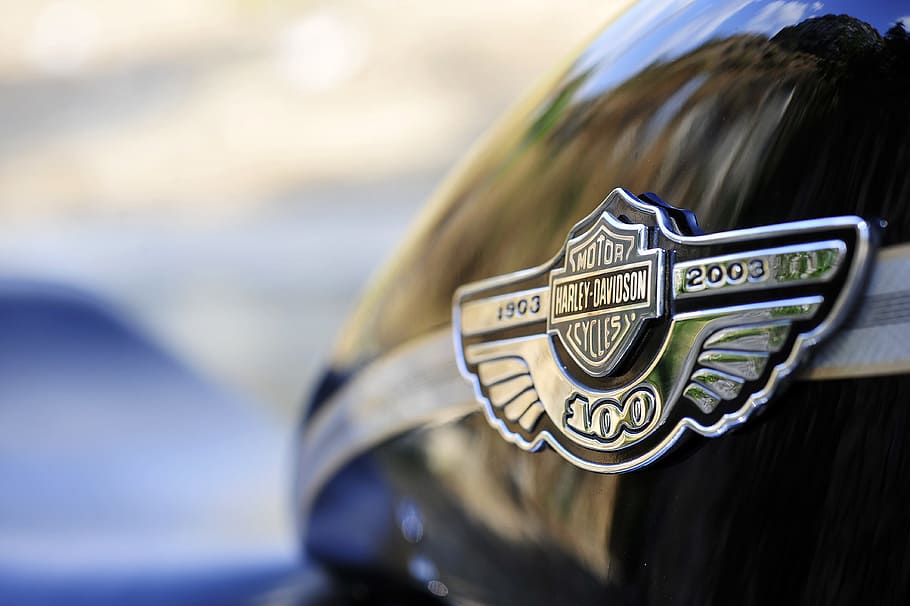 image Harley-Davidson to start &#8216;approved used&#8217; scheme aimed at younger buyers