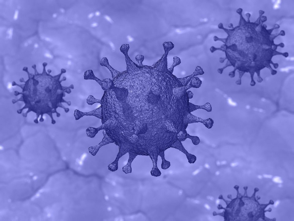 image President meets with advisors one year after first coronavirus cases detected in Cyprus