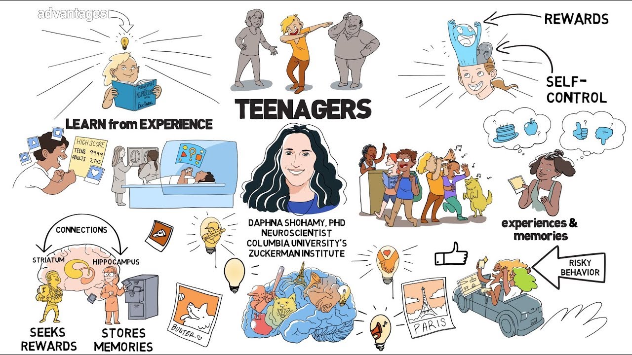 image Wired to learn: what we should know about the teen brain
