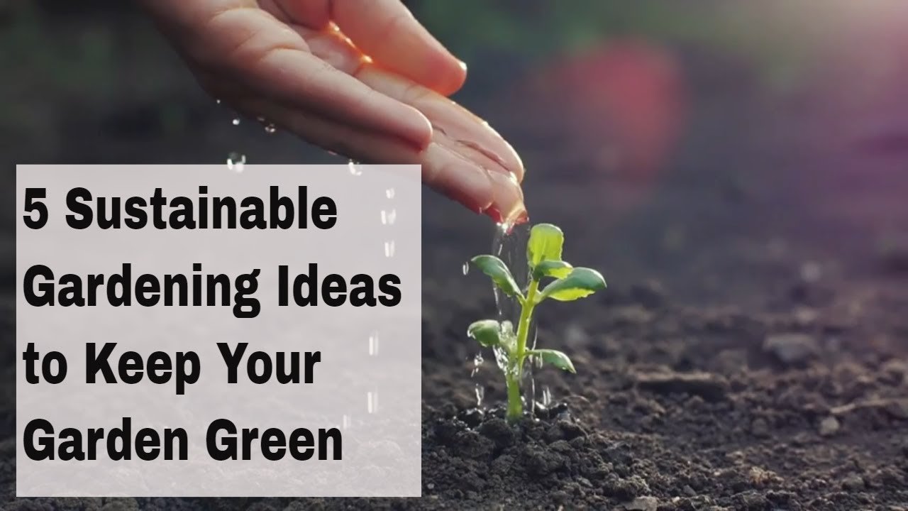 image Five sustainable gardening ideas