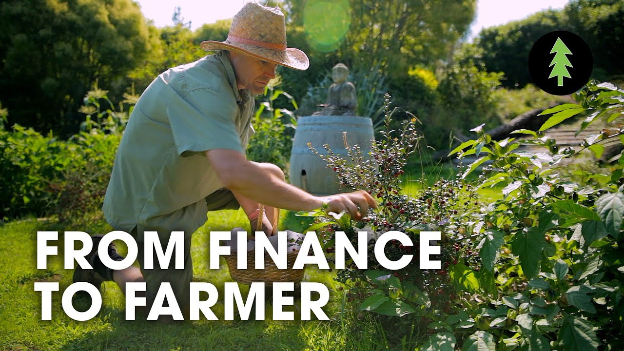 image From financier to farmer: how one man is growing a forest of food
