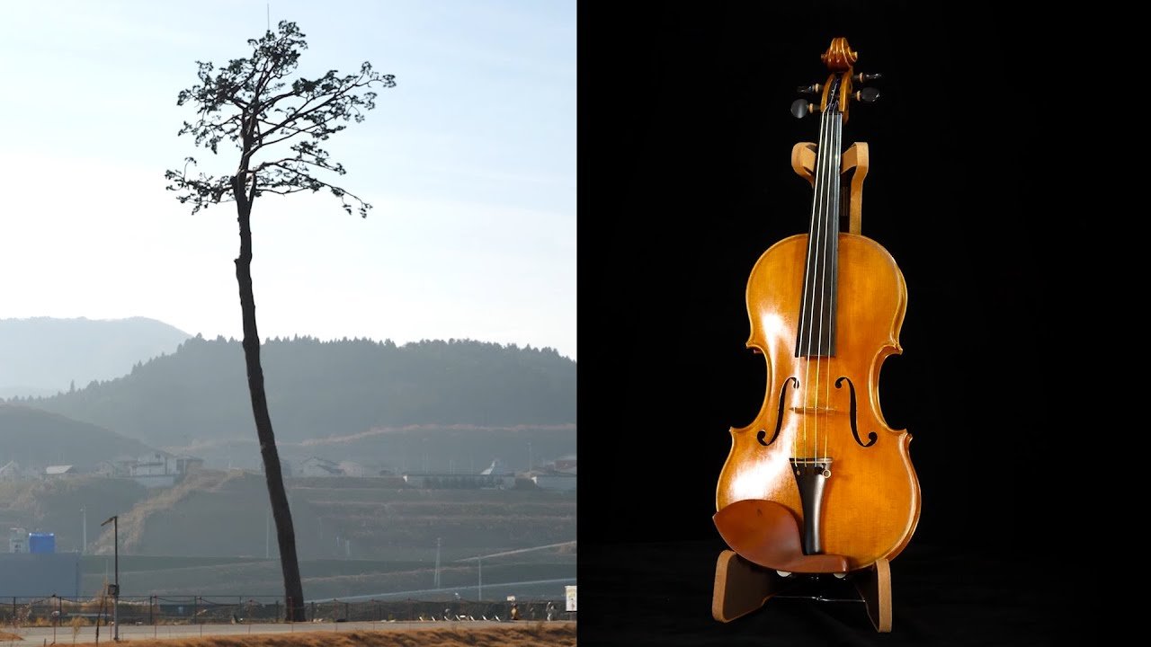 image From trauma to healing and remembrance &#8211; the &#8216;Tsunami Violin&#8217;