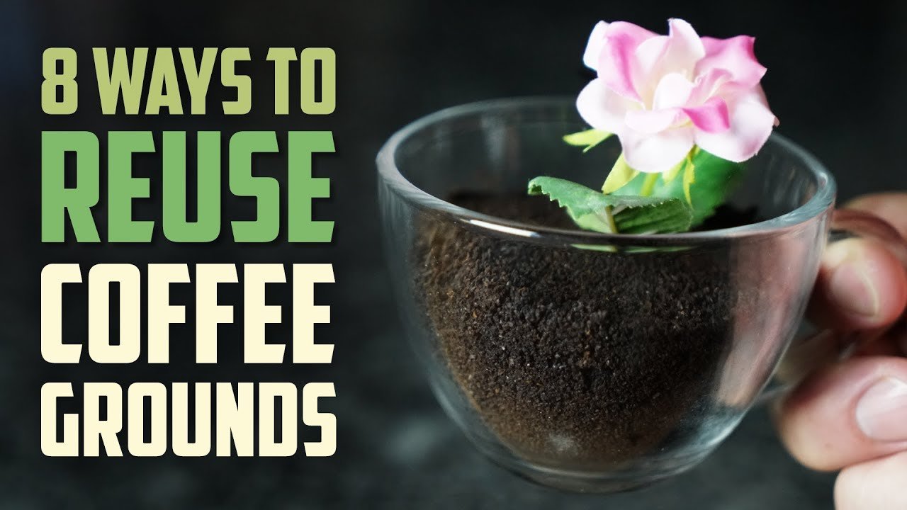 image Eight smart ways to reuse coffee grounds
