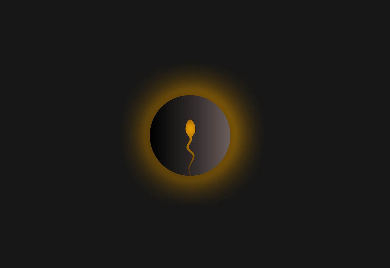 cover Coronavirus: Sperm of men who have had Covid no contamination risk