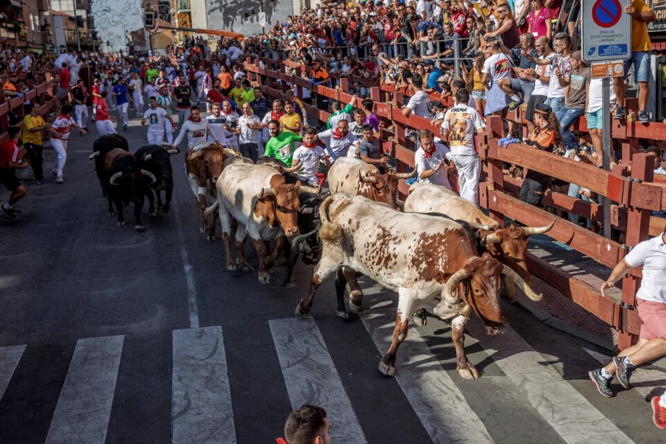 running of the bulls in san sebastian de los reyes